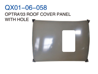 OPTRA03"ROOF COVER PANEL WITH HOLE