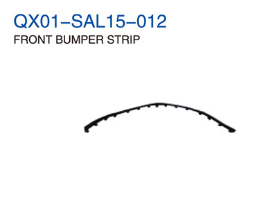 FRONT BUMPER STRIP