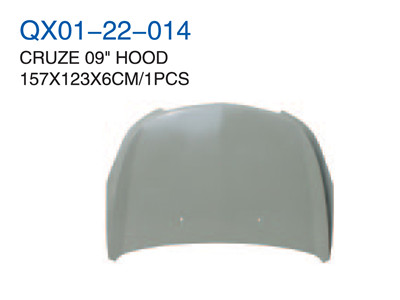 CRUZE 09" HOOD