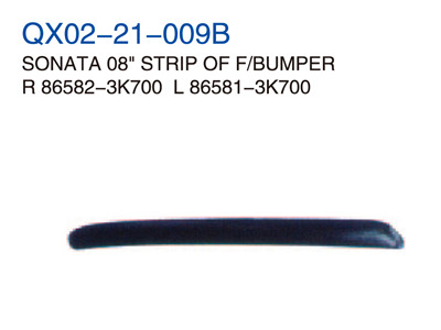 SONATA 08"STRIP OF F/BUMPER