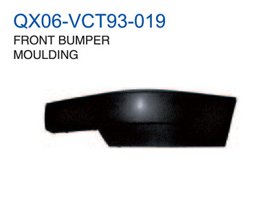 FRONT BUMPER MOULDING