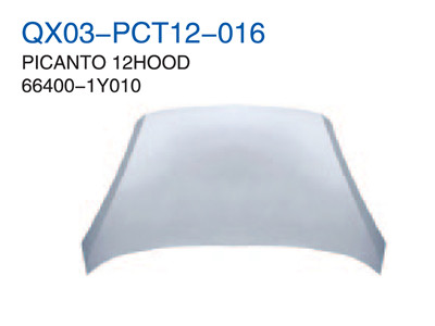 PICANTO 12" HOOD