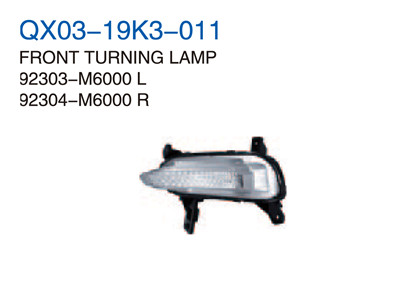 FRONT TURNING LAMP 